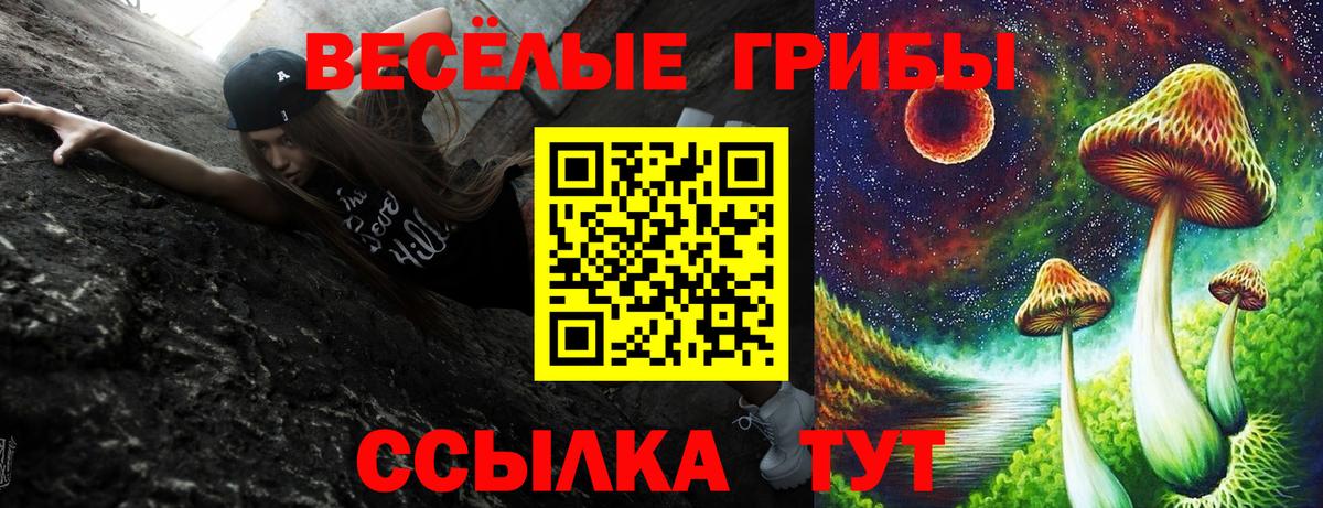 Касимов  Галлюциногенные грибы мицелий  Вход с VPN 