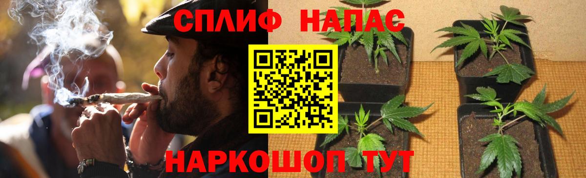 Каннабис конопля  Бошки марихуана индика  Вход с VPN  Касимов  Бошки марихуана SATIVA & INDICA 
